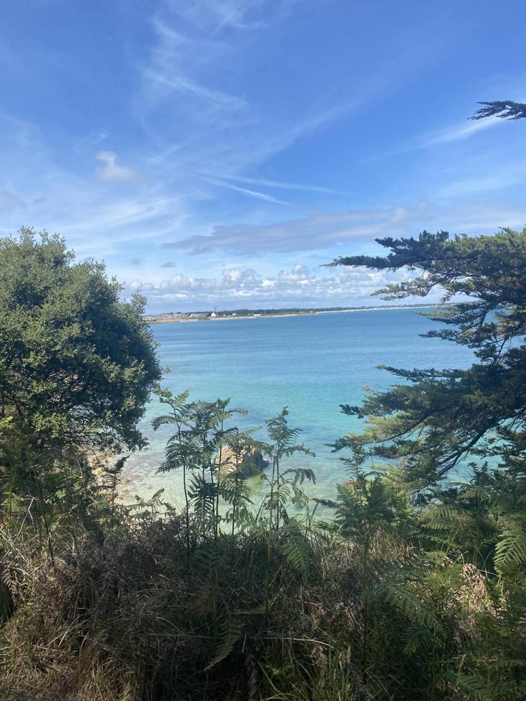 Confortable Studio, Wifi, Parking, Proche Plage Carnac Eksteriør bilde
